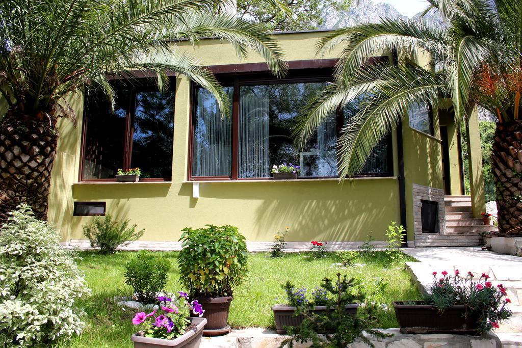Silence Villa Kotor Kültér fotó